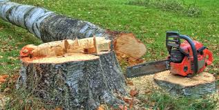 Best Lot and Land Clearing  in Buffalo, OK