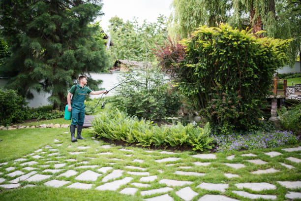 Best Tree and Shrub Care  in Buffalo, OK