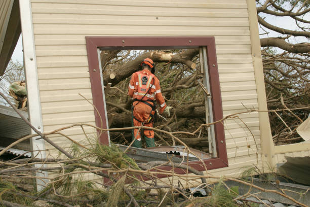 Best Tree Maintenance Programs  in Buffalo, OK