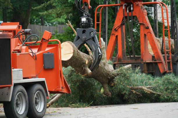 Best Aeration Services  in Buffalo, OK