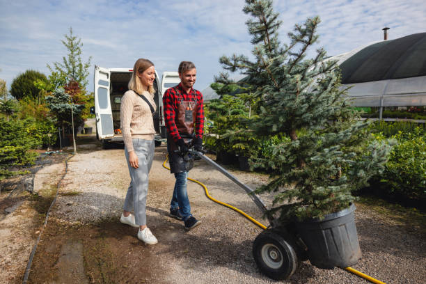 Best Weed Control  in Buffalo, OK